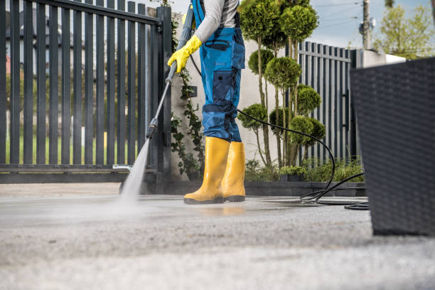 Best Dumpster Area Cleaning  in Rancho Palos Verdes, CA
